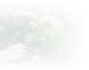How Soil pH Affects the Availability of IDS-Chelated Iron, Zinc and Manganese