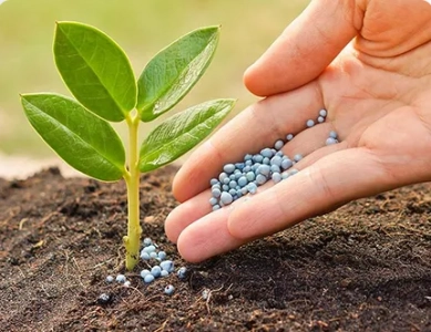 The Application of Polyaspartic Acid Potassium Salt in Agriculture