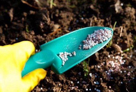 Polyaspartic Acid (PASP): A Green Solution for Crop Yield and Soil Health